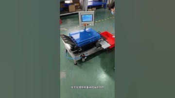 4-Channel Online Checkweigher Stick Packaging Multi-Lane Checkweigher