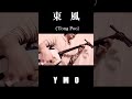 東風(Tong poo)-YMO 津軽三味線cover