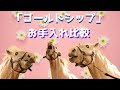 【ゴールドシップのお手入れ比較】ジョーカプチーノとグラスワンダーも登場するよ