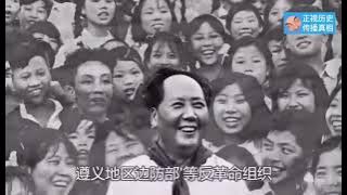 大饥荒时代中国人真的饿死不反抗？