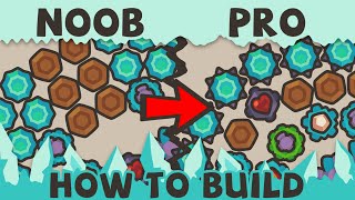 How to Build a Strong Base in Taming.io