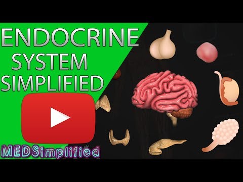 Video: Hvad er den enkle definition af det endokrine system?