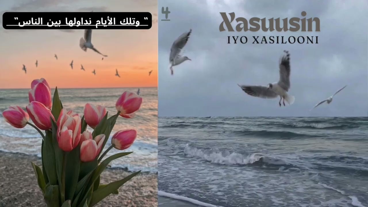 EPO4 Nasriga iyo guusha cid gaar ahi malaha| Xasuusin iyo xasilooni💗