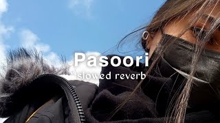 Pasoori ( slowed + reverb ) | lofi melodies