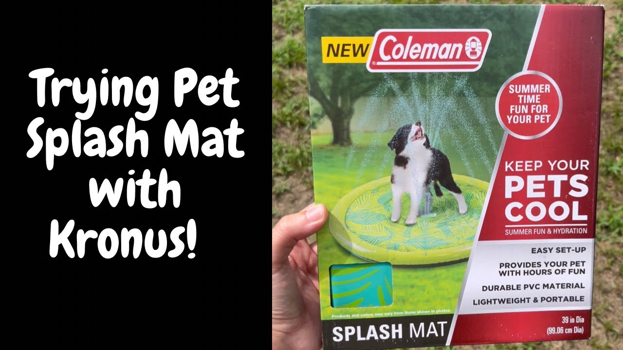 Trying out a Pet Splash Mat I bought online at Five Below