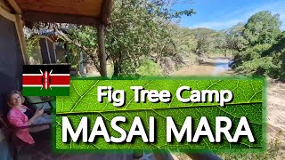 Kenya, Masai Mara - Fig Tree Camp (2023) 🇰🇪