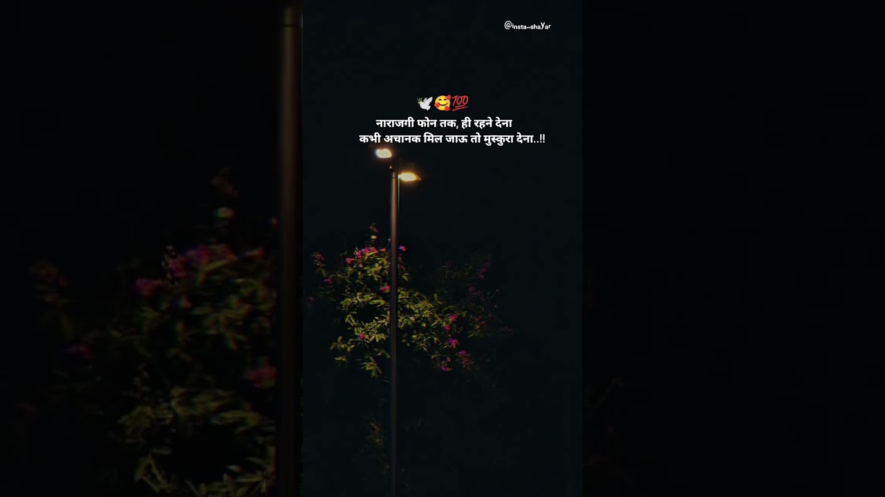 🕊️🥰💯 Sad Shayari Status Broken | Heart Touching WhatsApp Status 