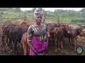 TEMBO CHALESI FT JIMINOGENI 2026 