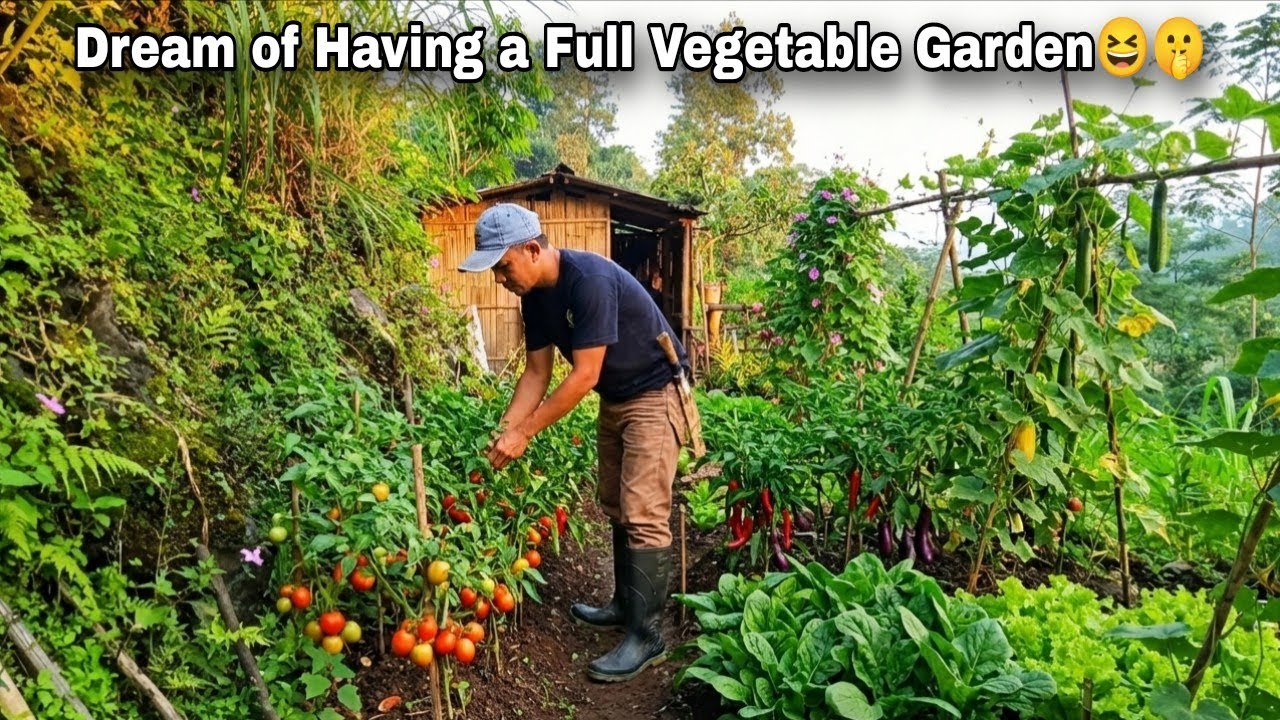 A primitive way of survival by making long bean trellises in a riverside garden.