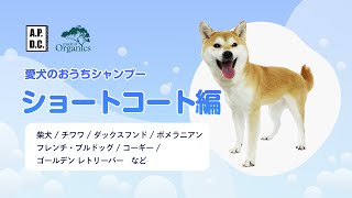 ティーツリーコンディショナー 500mL - たかくらとくらす Takakura
