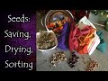 Saving, Drying, Sorting Seeds