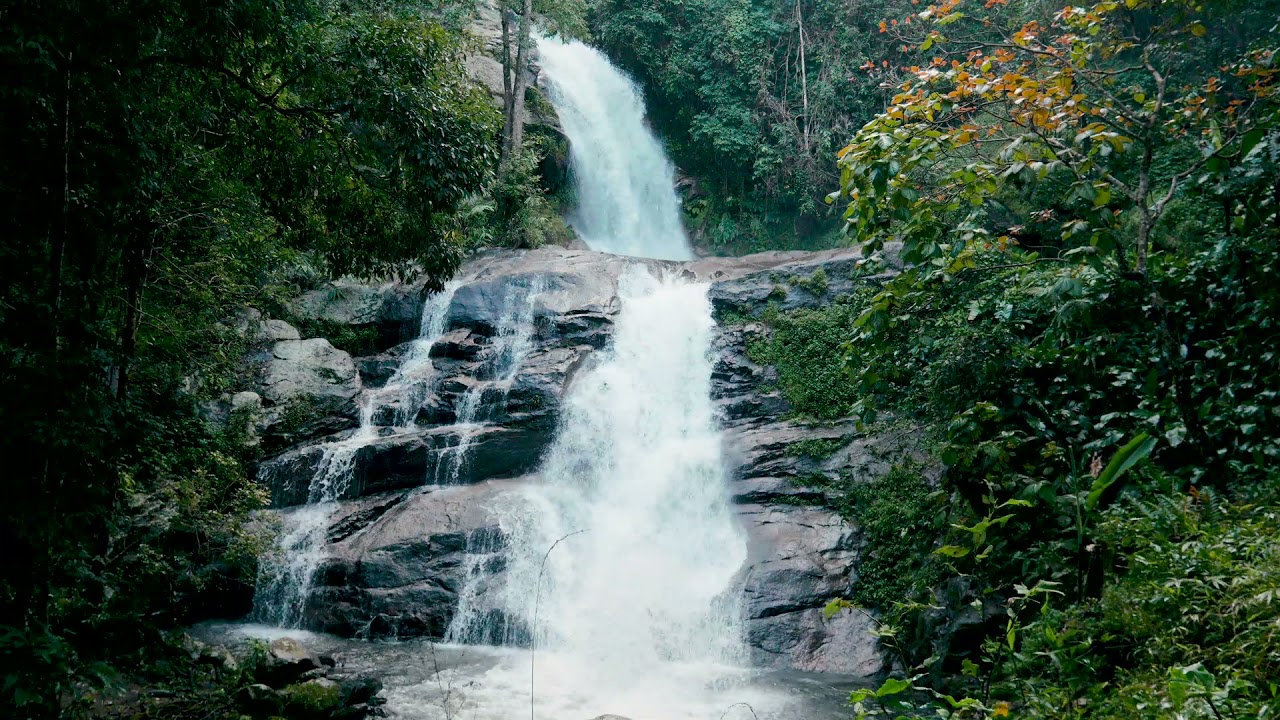 Soothing Mountain Waterfall in Green Nature. Relaxing Waterfall Sounds. White Noise for Sleeping.