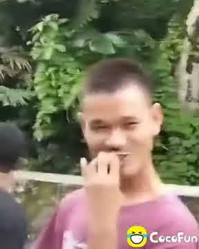 stori wa pendek maling mangga di jalan raya edan🤣