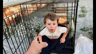 FOUND MISSING *1 YEAR OLD* LOCKED IN DOG CRATE!! (HAPPY ENDING)