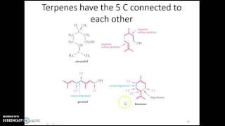terpenes