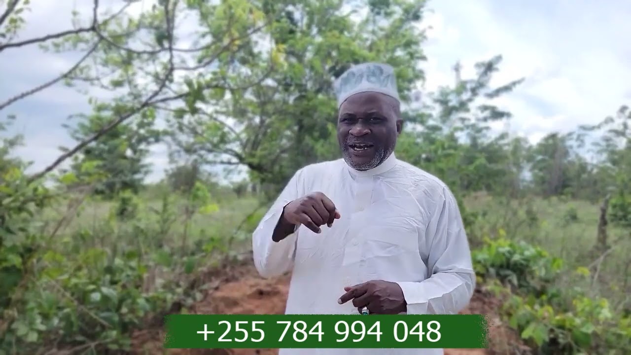 UKIKUTA SISI MIZI MCHWA NDANI KWAKO HIKI NDICHO KINACHOTOKEA BAADAE