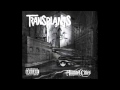 Hit The Fence - Transplants