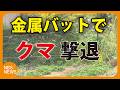 「クマが飼い犬に覆いかぶさる」「クマが車のボンネットに覆いかぶさる」　犬の悲鳴で外へ…金属バッドで追い払うが、顔にケガ　松本市の県道では車に向かって…車にキズ　長野で被害が相次ぐ