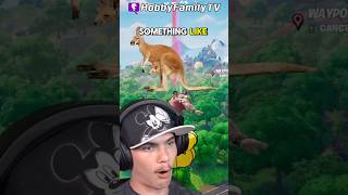 What Do Kangaroos Do