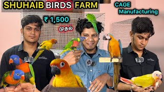 ₹1500 முதல் | Tamed Birds & cage's | தமிழ் | Low price birds | Sun cheek , Sun Conure | Eagletwist