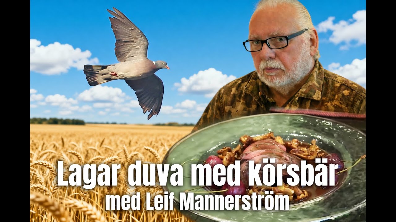 Lagar duva med körsbär med Leif Mannerström