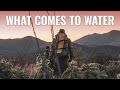 WHAT COMES TO WATER - An Arizona OTC Archery Coues Deer Hunt