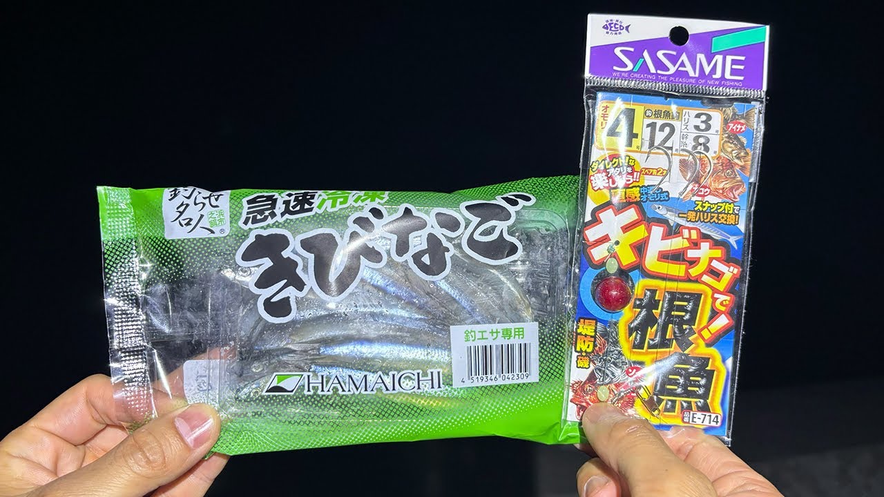 キビナゴ専用の仕掛けを使って夜の海に落としてみると・・・