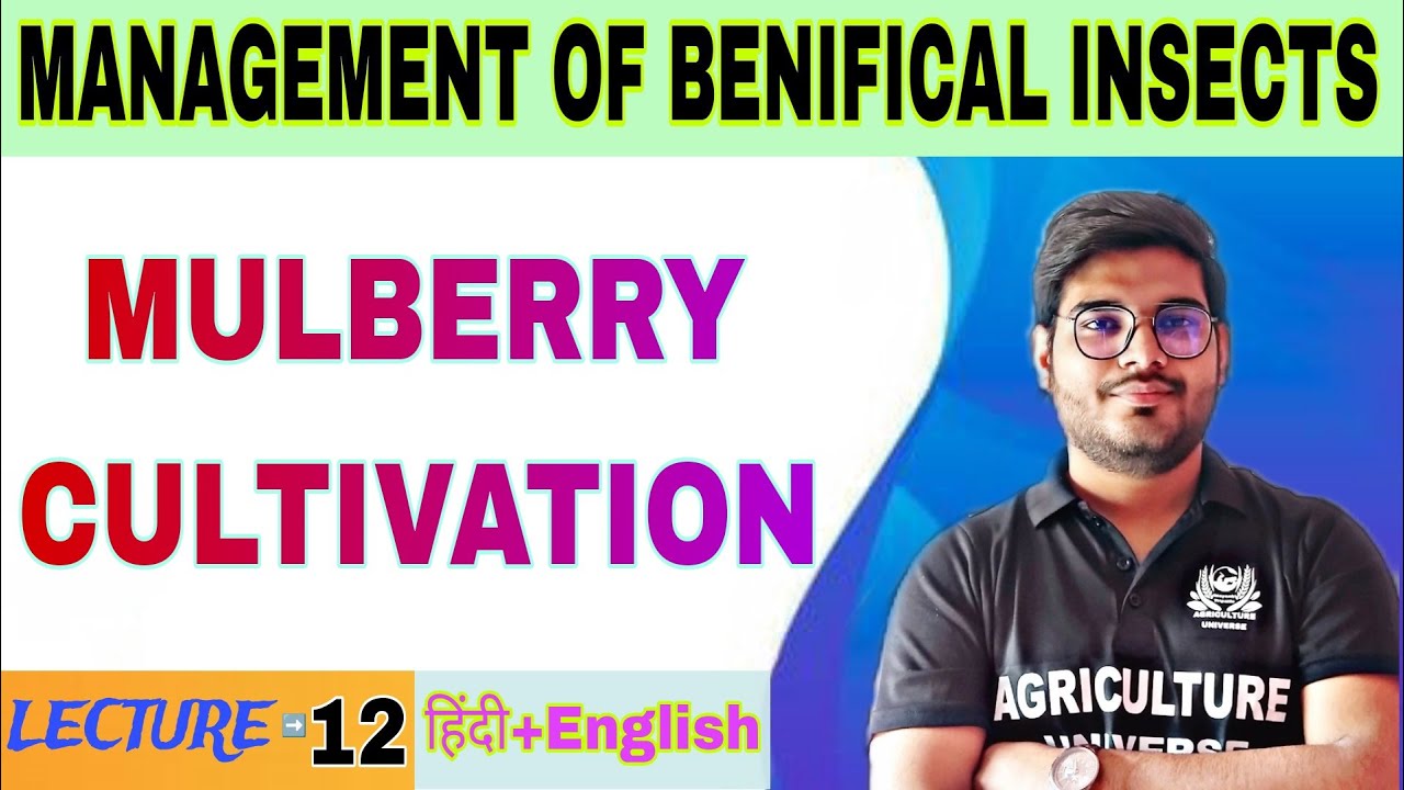 mulberry cultivation || management of benificial insect ||  bsc ag 5th semester