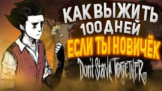 Don't Starve together/как выжить если ты нуб