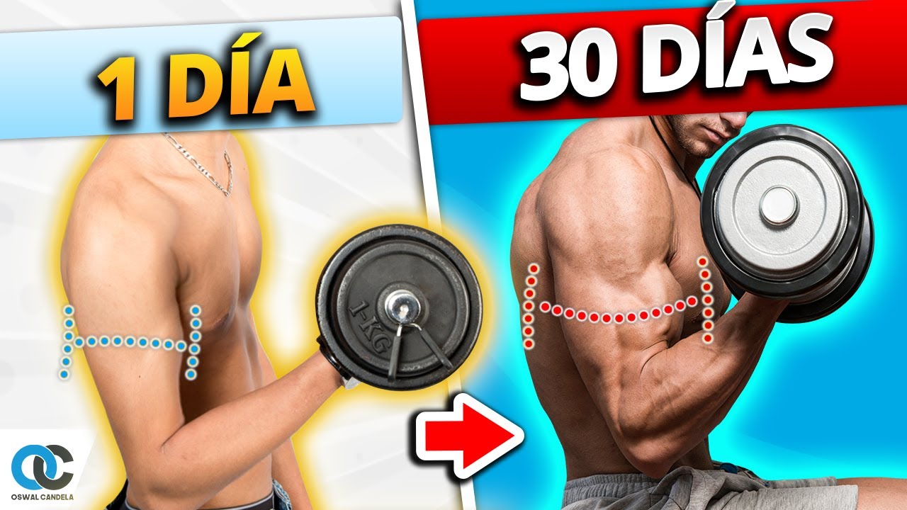 Cuánto tarda en CRECER un MÚSCULO ¡Explicado con Ciencia!