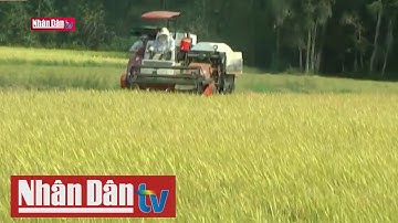 Thách thức đối với phát triển bền vững Đồng bằng Sông Cửu Long