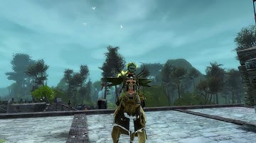 GW2 Texture Bug
