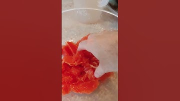 FRESH Grapefruit Juice!