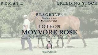 39   MOYVORE ROSE