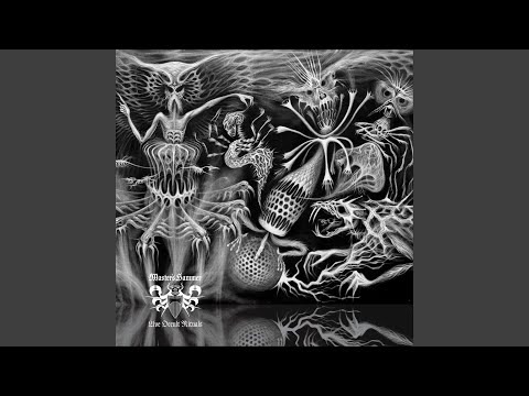 Master's Hammer — Psychoparasit (Live)