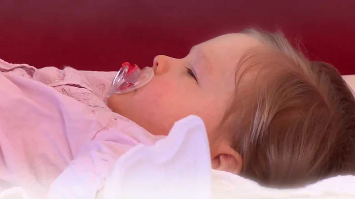 NOTOX: Towards a future without animal testing