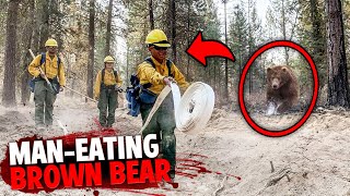 After EATING 6 People Alive This Bear Was FINALLY Caught! by Final Affliction 18,095 views 1 month ago 9 minutes, 4 seconds