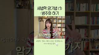 세법학 암기법(1) : 범주화 하기