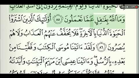 صفحة رقم 13 الشيخ وديع اليمني القرآن الكريم