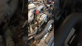 Subaru 2.5 Head Gasket Sucess!