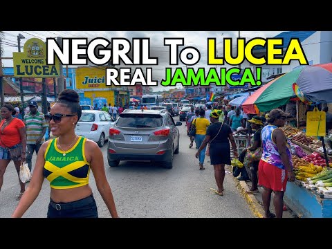 Jamaica’s Most Beautiful Route… Western Jamaica Hits Differently!