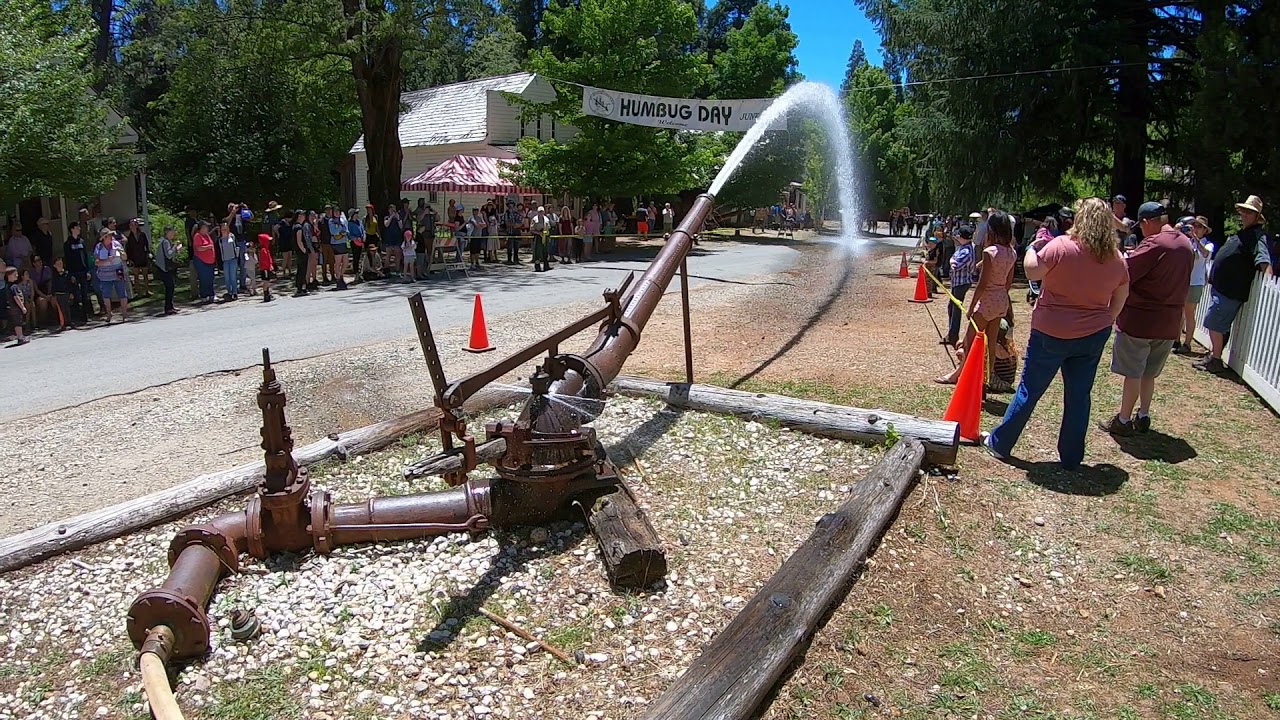 HUMBUG DAY WATER MONITOR 682019 MALAKOFF DIGGINS STATE HISTORIC PARK