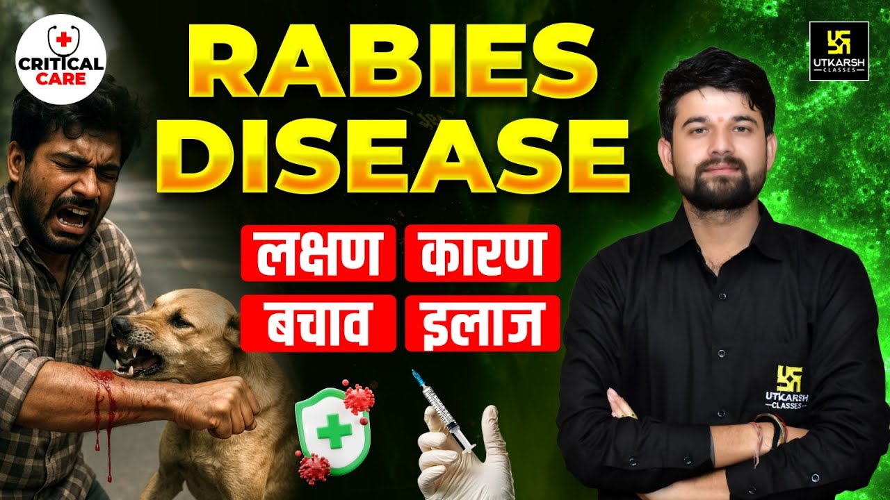 Rabies Disease Explained 🦠| Symptoms, Causes, Prevention & Treatment ...