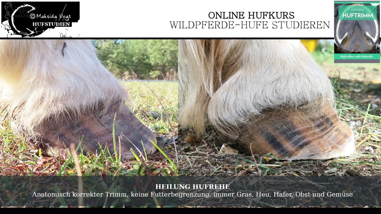 Es ist Wurm drin. Wanderung Berg Drohne.