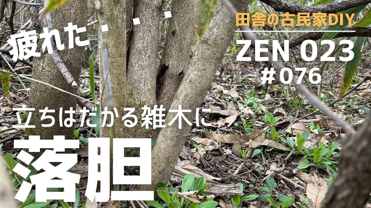 【実家の開拓＆DIY】雑木林の開拓が進まず、落胆。