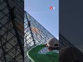 Climate activist scales Louvre to throw orange paint #shorts