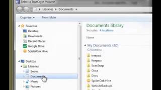 Truecrypt Demo Profile