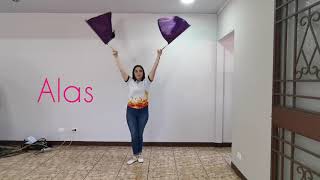 Pasos Básicos/Banderas Principiantes