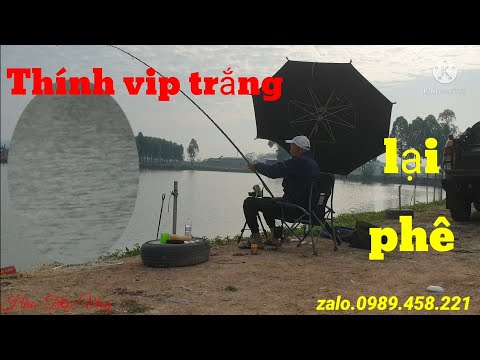Câu Lục. Lần Đầu ..Xuống Hồ Câu.268.Bắc Giang..