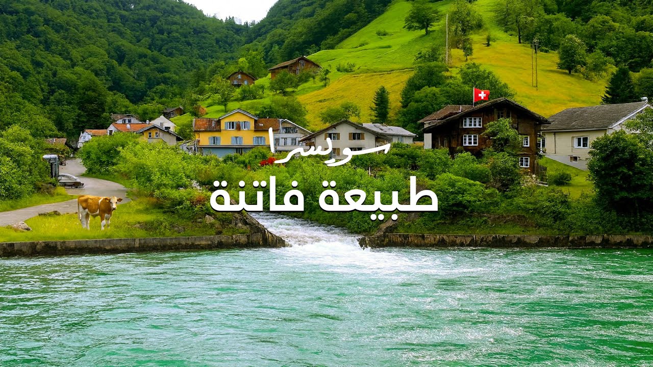 طبيعة ساحرة وإطلالة على البحيرة والجبال في قرية سويسرية جميلة | Sisikon, Switzerland